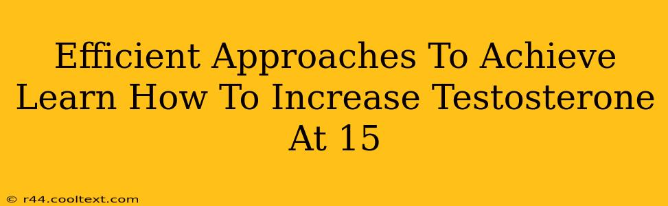 Efficient Approaches To Achieve Learn How To Increase Testosterone At 15