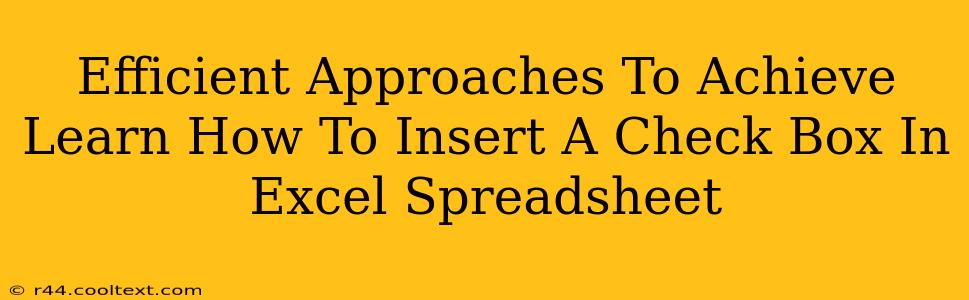 Efficient Approaches To Achieve Learn How To Insert A Check Box In Excel Spreadsheet