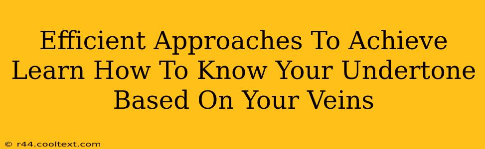 Efficient Approaches To Achieve Learn How To Know Your Undertone Based On Your Veins