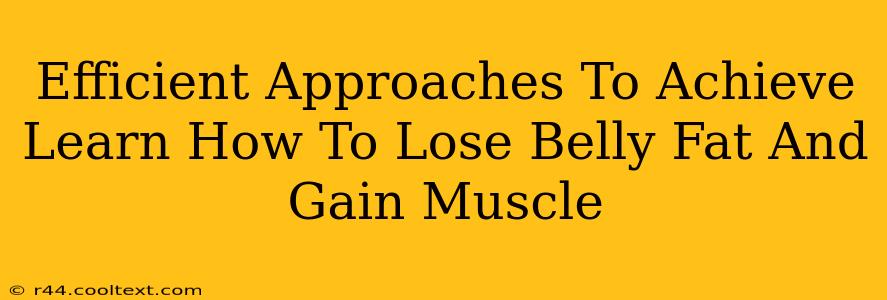 Efficient Approaches To Achieve Learn How To Lose Belly Fat And Gain Muscle