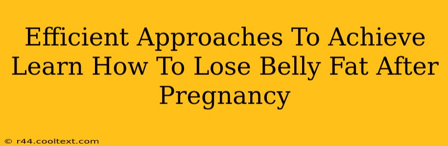 Efficient Approaches To Achieve Learn How To Lose Belly Fat After Pregnancy