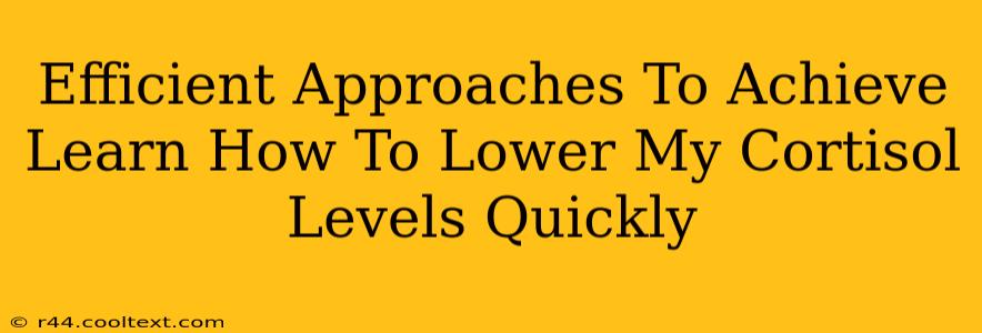 Efficient Approaches To Achieve Learn How To Lower My Cortisol Levels Quickly