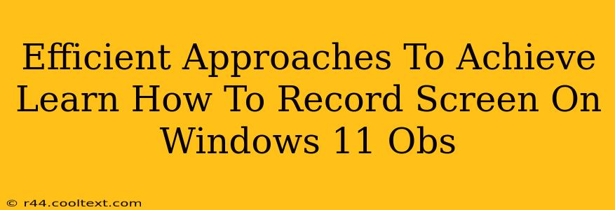 Efficient Approaches To Achieve Learn How To Record Screen On Windows 11 Obs