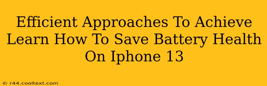 Efficient Approaches To Achieve Learn How To Save Battery Health On Iphone 13