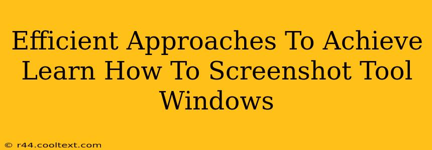 Efficient Approaches To Achieve Learn How To Screenshot Tool Windows