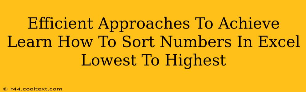 Efficient Approaches To Achieve Learn How To Sort Numbers In Excel Lowest To Highest