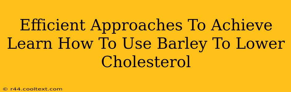 Efficient Approaches To Achieve Learn How To Use Barley To Lower Cholesterol