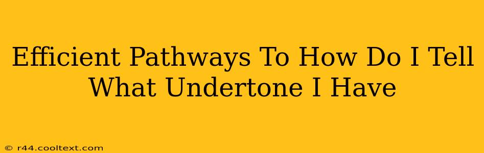 Efficient Pathways To How Do I Tell What Undertone I Have