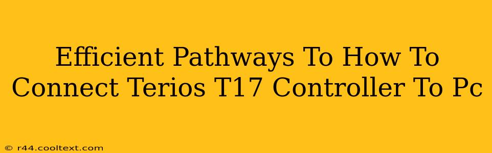 Efficient Pathways To How To Connect Terios T17 Controller To Pc