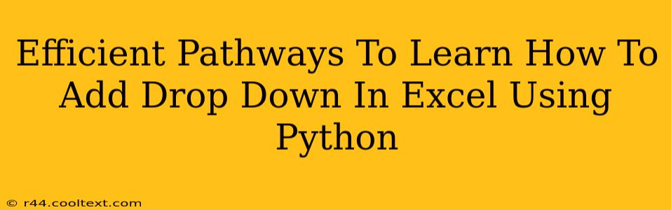 Efficient Pathways To Learn How To Add Drop Down In Excel Using Python