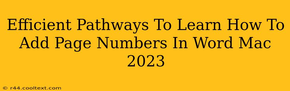 Efficient Pathways To Learn How To Add Page Numbers In Word Mac 2023