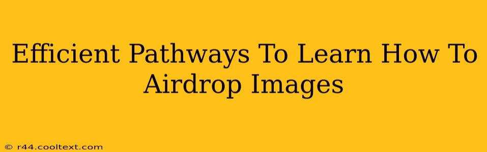 Efficient Pathways To Learn How To Airdrop Images