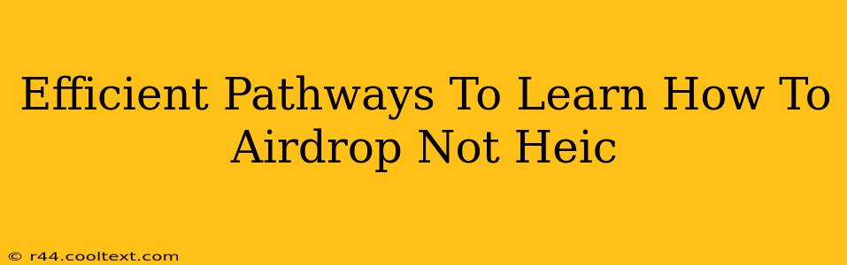 Efficient Pathways To Learn How To Airdrop Not Heic