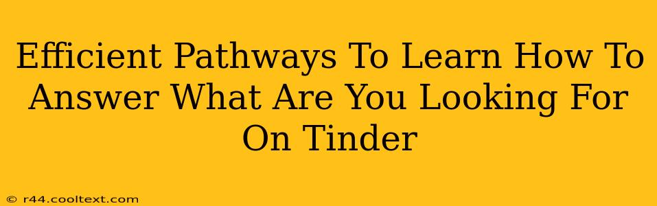 Efficient Pathways To Learn How To Answer What Are You Looking For On Tinder