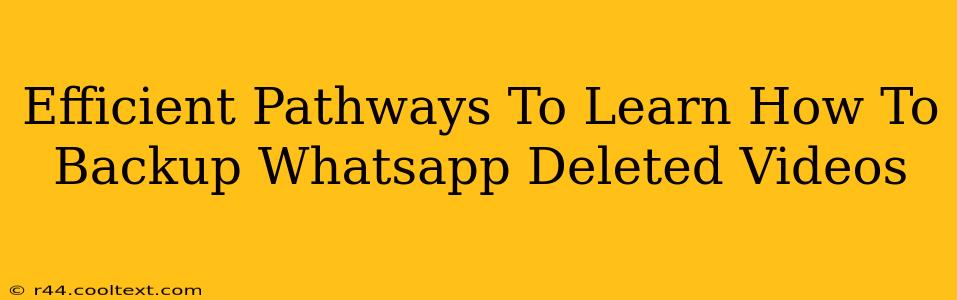 Efficient Pathways To Learn How To Backup Whatsapp Deleted Videos