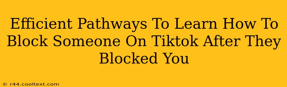 Efficient Pathways To Learn How To Block Someone On Tiktok After They Blocked You