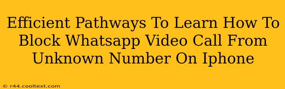 Efficient Pathways To Learn How To Block Whatsapp Video Call From Unknown Number On Iphone