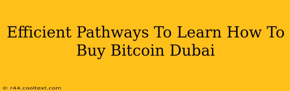 Efficient Pathways To Learn How To Buy Bitcoin Dubai