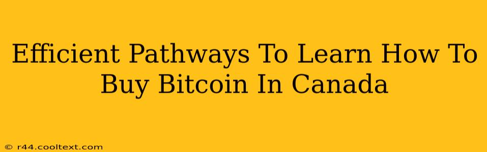 Efficient Pathways To Learn How To Buy Bitcoin In Canada