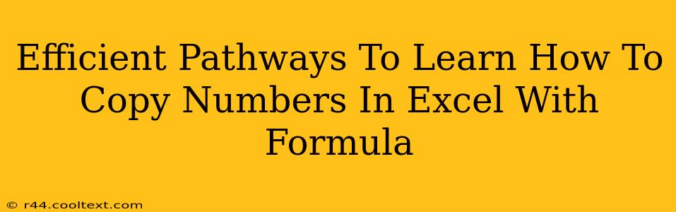 Efficient Pathways To Learn How To Copy Numbers In Excel With Formula