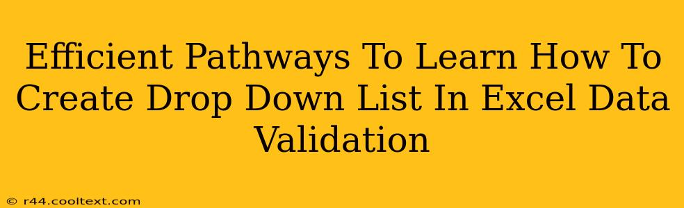 Efficient Pathways To Learn How To Create Drop Down List In Excel Data Validation