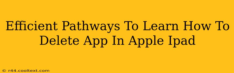 Efficient Pathways To Learn How To Delete App In Apple Ipad