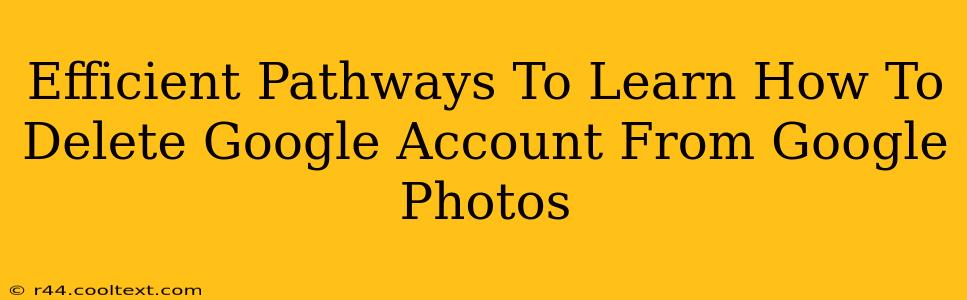 Efficient Pathways To Learn How To Delete Google Account From Google Photos