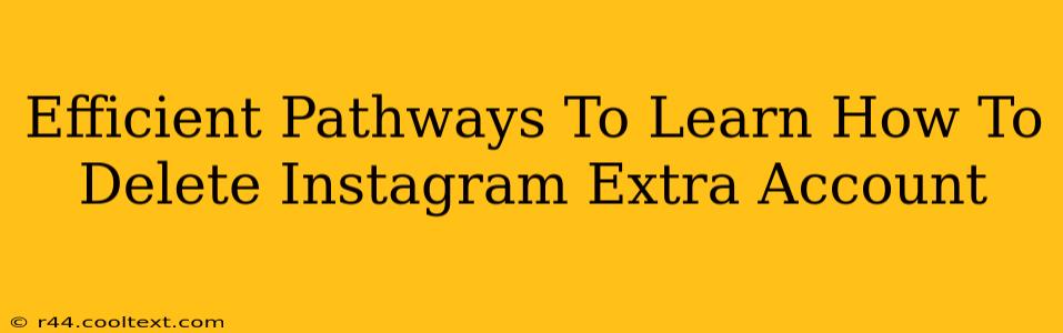 Efficient Pathways To Learn How To Delete Instagram Extra Account