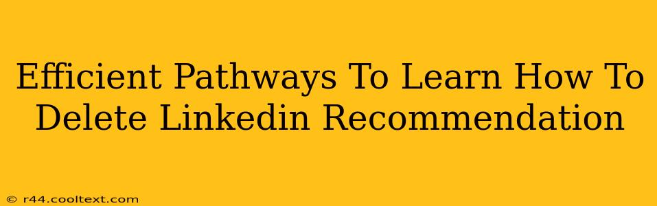 Efficient Pathways To Learn How To Delete Linkedin Recommendation