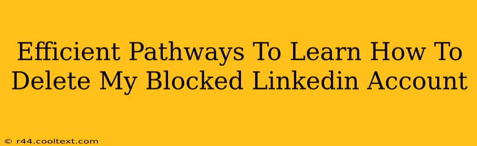 Efficient Pathways To Learn How To Delete My Blocked Linkedin Account