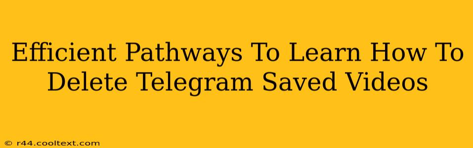 Efficient Pathways To Learn How To Delete Telegram Saved Videos