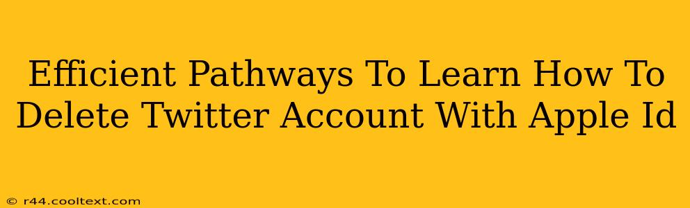 Efficient Pathways To Learn How To Delete Twitter Account With Apple Id