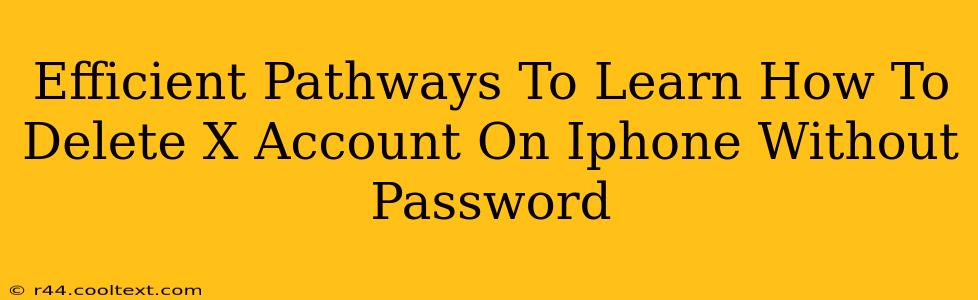 Efficient Pathways To Learn How To Delete X Account On Iphone Without Password