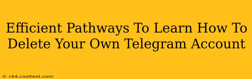 Efficient Pathways To Learn How To Delete Your Own Telegram Account