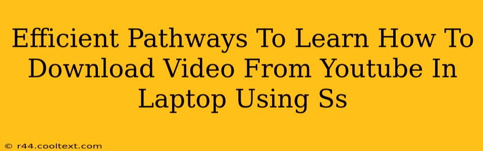 Efficient Pathways To Learn How To Download Video From Youtube In Laptop Using Ss