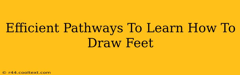 Efficient Pathways To Learn How To Draw Feet