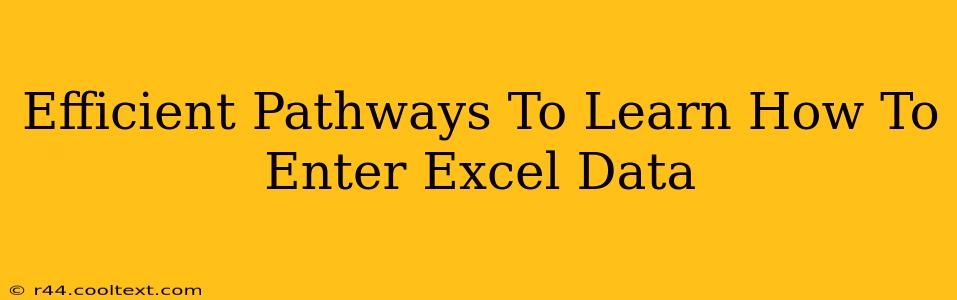 Efficient Pathways To Learn How To Enter Excel Data