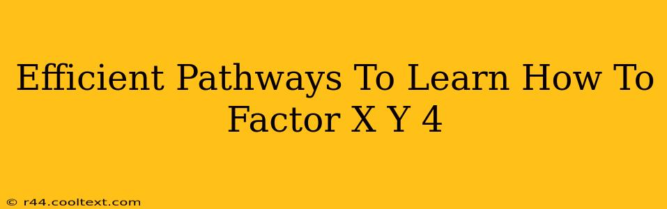 Efficient Pathways To Learn How To Factor X Y 4