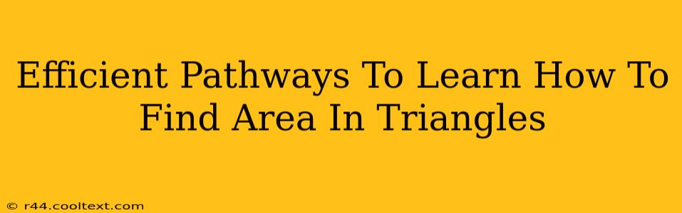 Efficient Pathways To Learn How To Find Area In Triangles