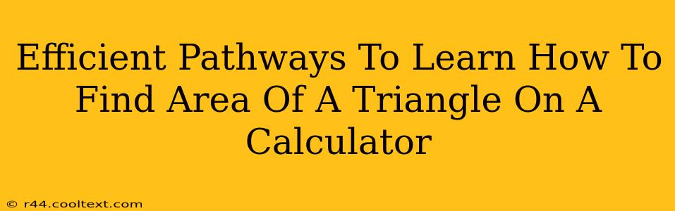 Efficient Pathways To Learn How To Find Area Of A Triangle On A Calculator