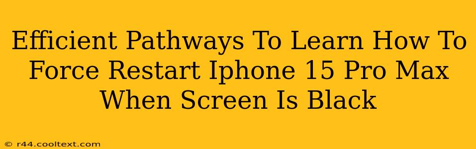 Efficient Pathways To Learn How To Force Restart Iphone 15 Pro Max When Screen Is Black