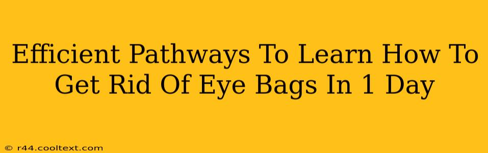 Efficient Pathways To Learn How To Get Rid Of Eye Bags In 1 Day