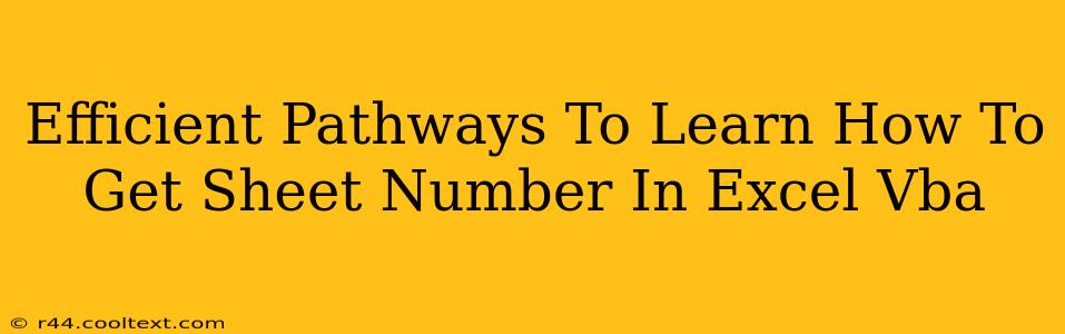 Efficient Pathways To Learn How To Get Sheet Number In Excel Vba