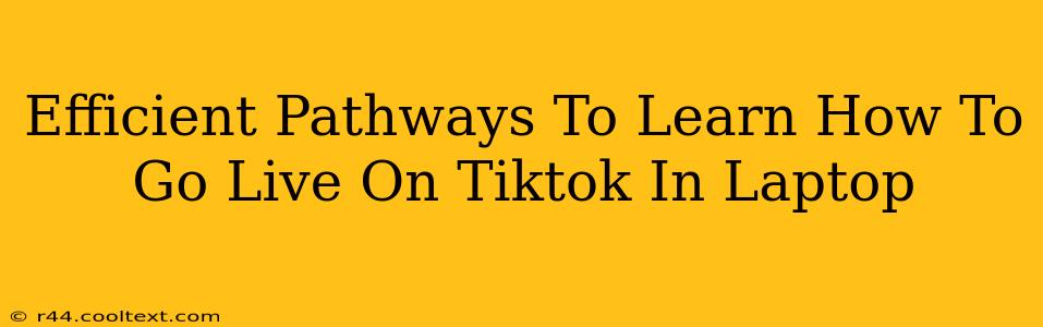 Efficient Pathways To Learn How To Go Live On Tiktok In Laptop