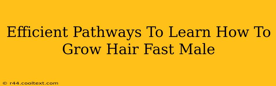 Efficient Pathways To Learn How To Grow Hair Fast Male