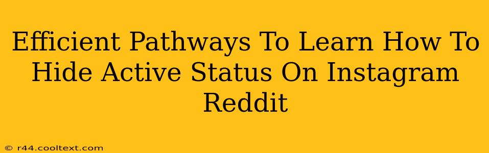 Efficient Pathways To Learn How To Hide Active Status On Instagram Reddit