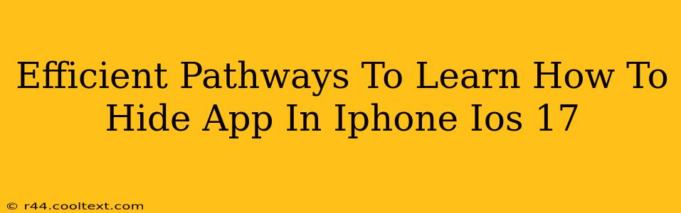 Efficient Pathways To Learn How To Hide App In Iphone Ios 17