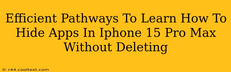 Efficient Pathways To Learn How To Hide Apps In Iphone 15 Pro Max Without Deleting