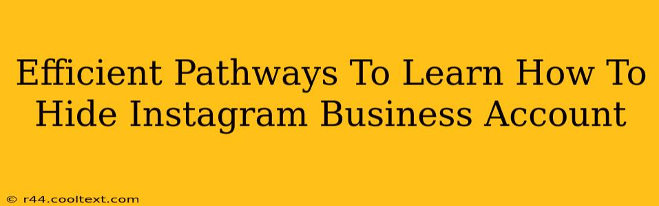 Efficient Pathways To Learn How To Hide Instagram Business Account