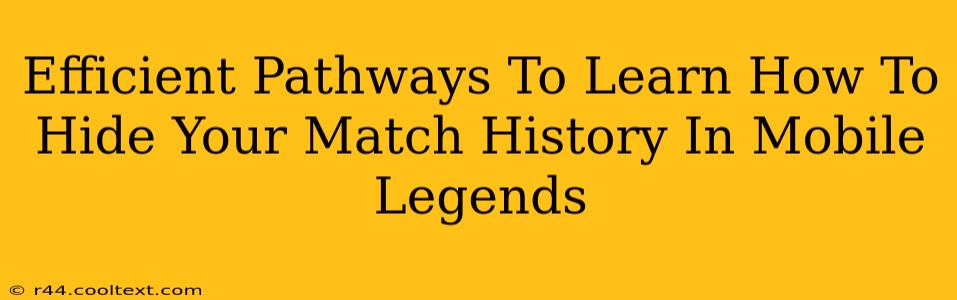 Efficient Pathways To Learn How To Hide Your Match History In Mobile Legends